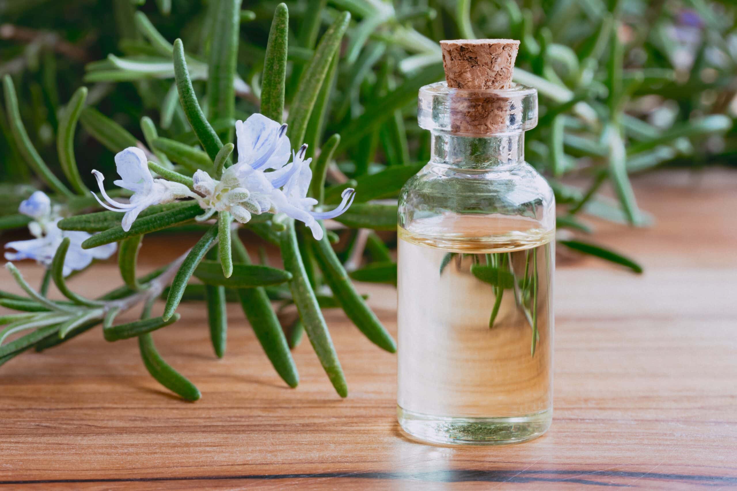 natural Rosemary Hair Rinse
