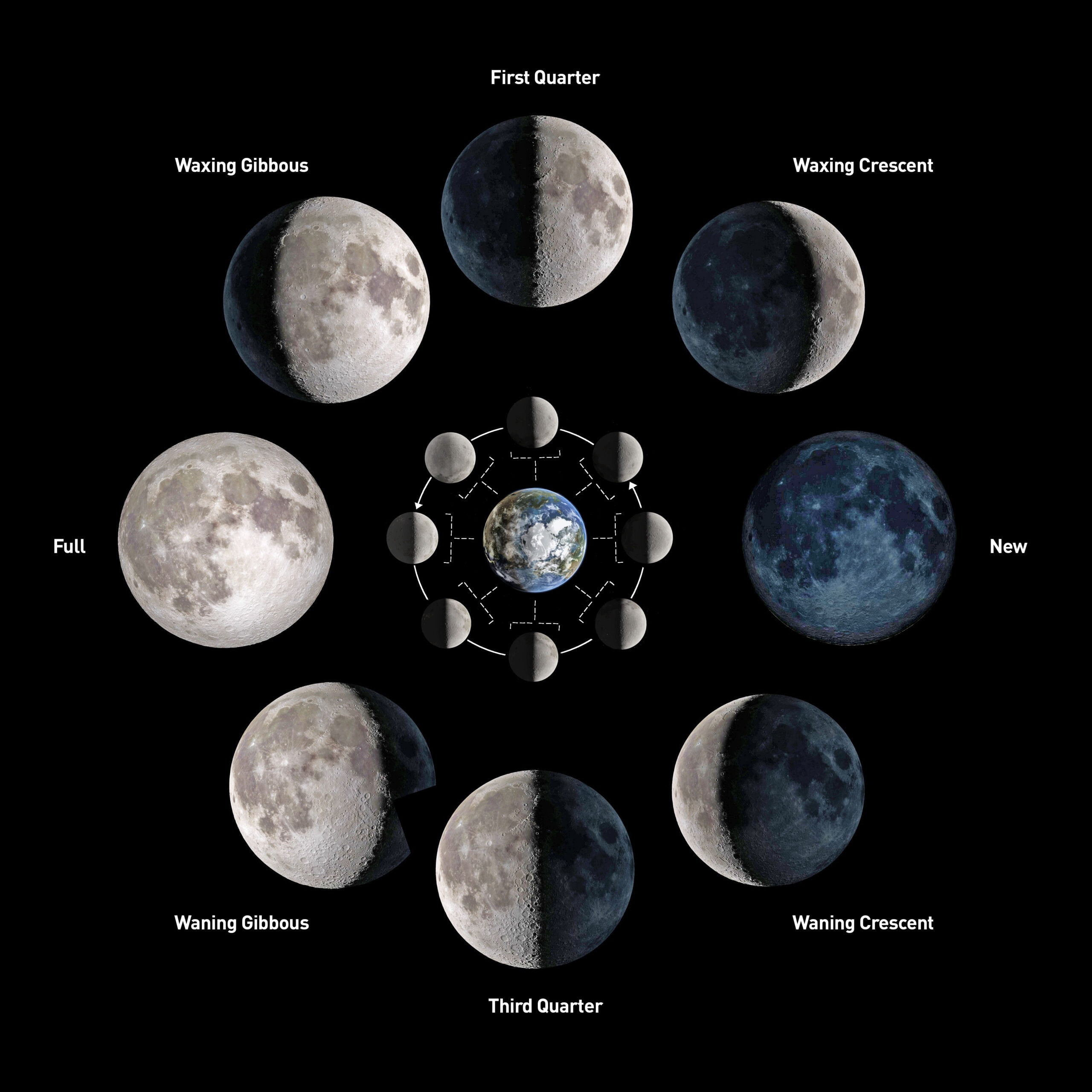 The lunar cycle
