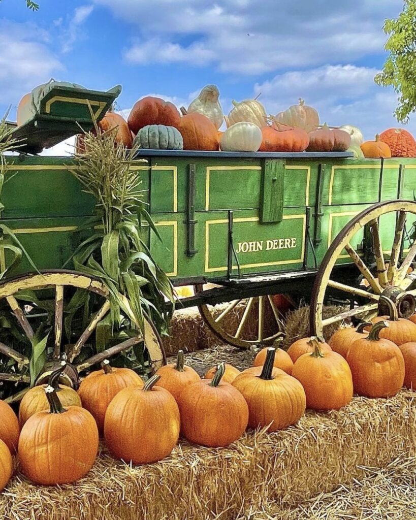 Fall Festival Enjoy A Fall Festival